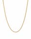 Cable Chain Necklace — Clean product hero