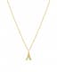 Initial Necklace — Clean product hero