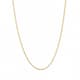 Athleia Cable Chain Necklace