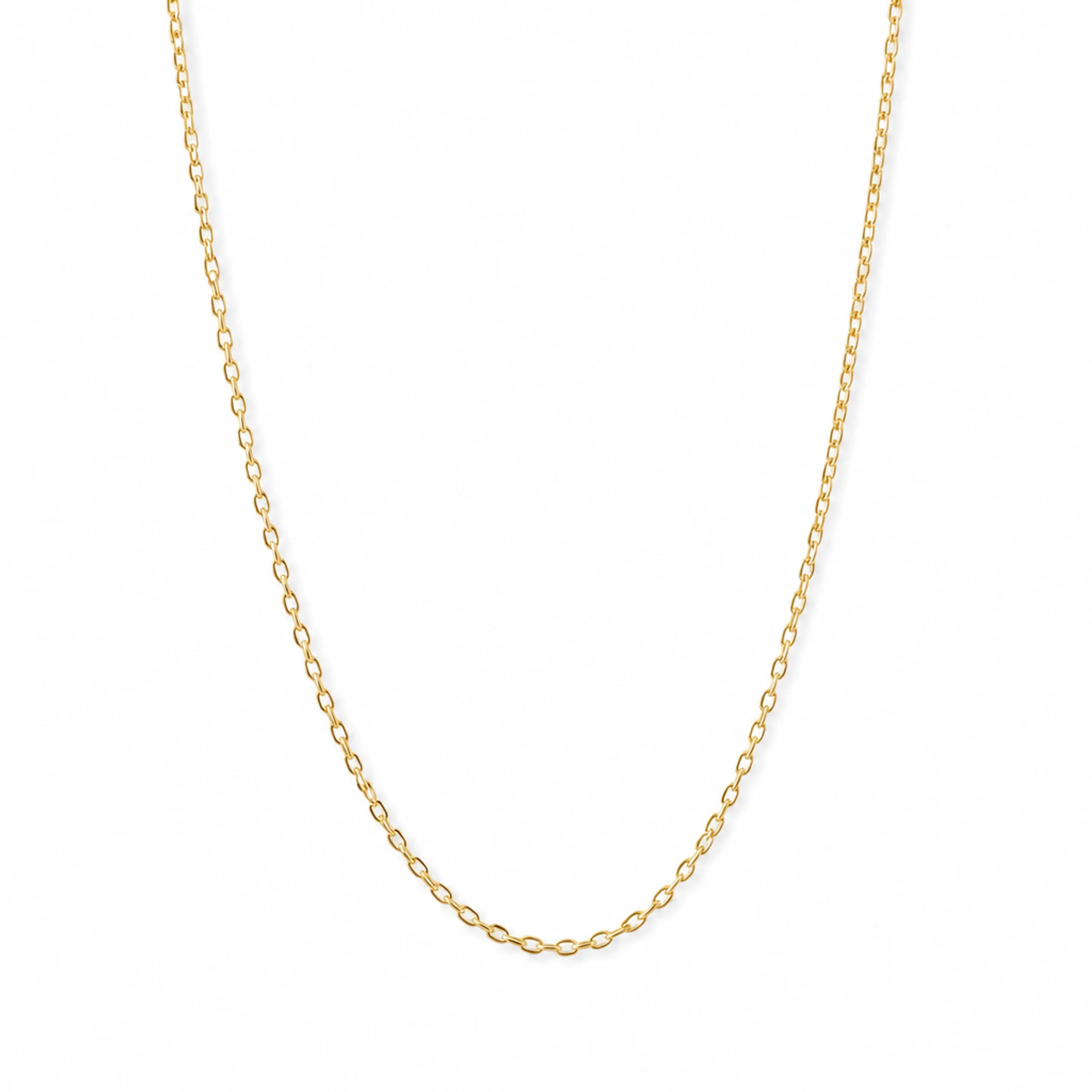 Cable Chain Necklace — Clean product hero