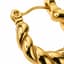 Twisted Hoop — Detail macro