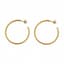 Classic Hoop — Clean product hero