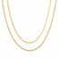Double Chain Necklace — Clean product hero
